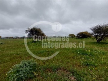 Imagen 27