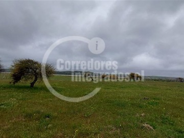 Imagen 8