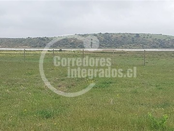 Imagen 22