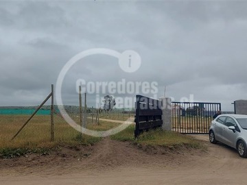 Imagen 31