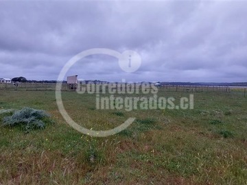 Imagen 15