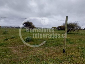 Imagen 28
