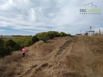 Imagen 4