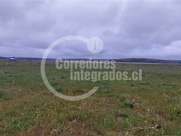 Imagen 14
