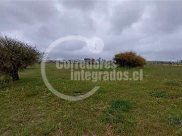 Imagen 7