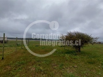 Imagen 6