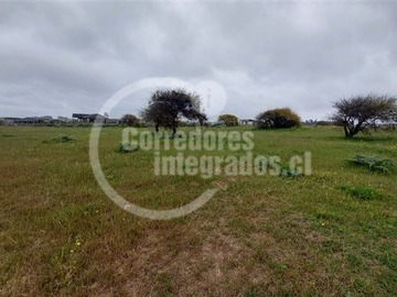 Imagen 26