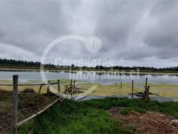 Imagen 37
