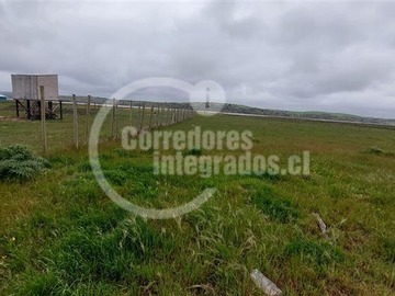Imagen 25