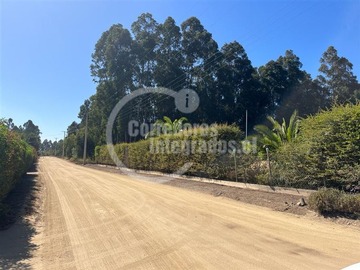 Imagen 12