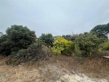 Venta / Sitio / Santo Domingo