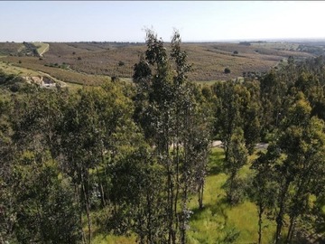 Venta / Sitio / Santo Domingo