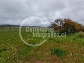 Imagen 13