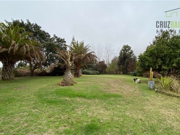 Imagen 9