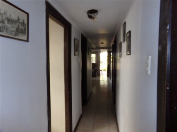 Imagen 11