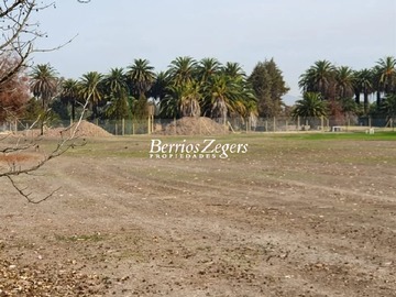 Imagen 8