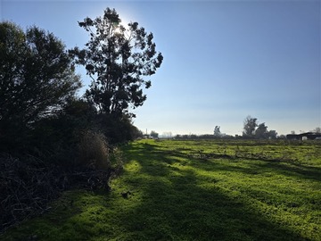 Imagen 10