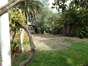 Imagen 5