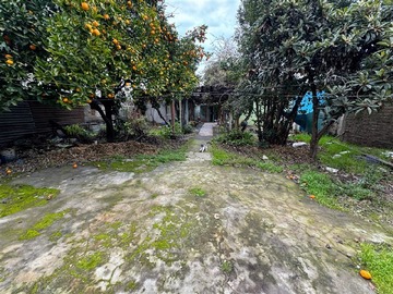 Imagen 4