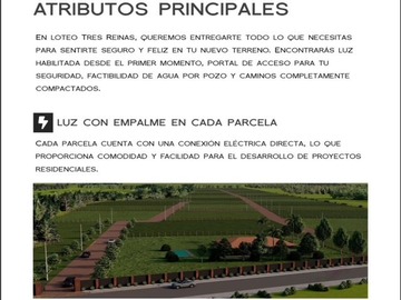 Imagen 13