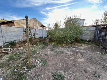 Imagen 7
