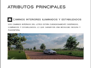 Imagen 16