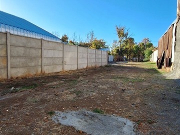 Imagen 5