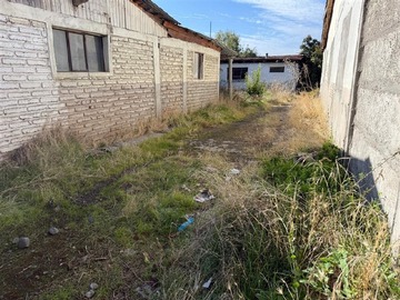 Imagen 7