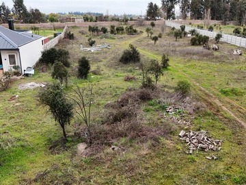 Imagen 3