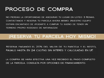 Imagen 19