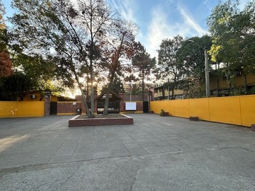 Imagen 15
