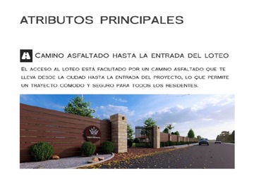 Imagen 15