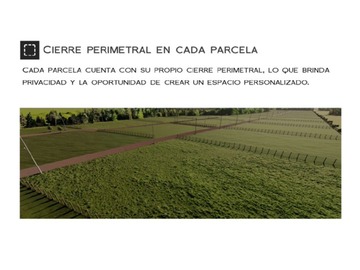 Imagen 17