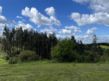 Imagen 11