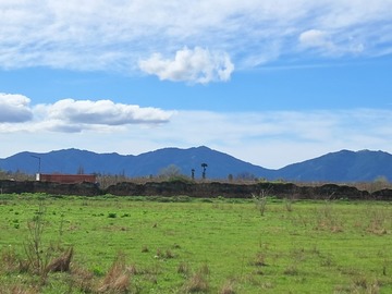 Imagen 7