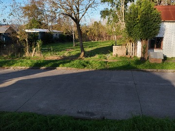 Imagen 19