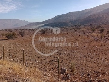 Imagen 12