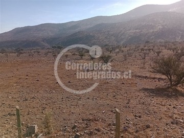 Imagen 11