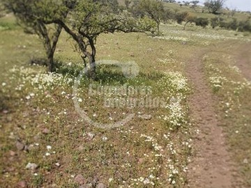 Imagen 12