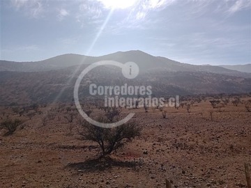 Imagen 13