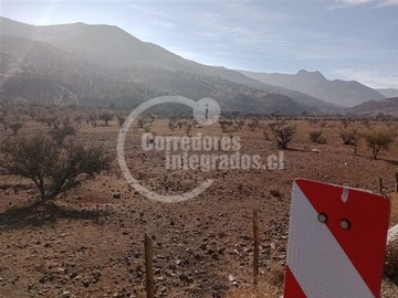Imagen 14