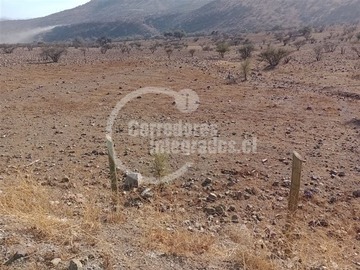 Imagen 8