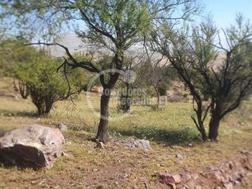 Imagen 11