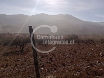 Imagen 7