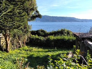 VISTA TERRENO