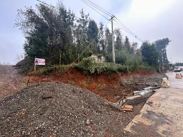 Imagen 9