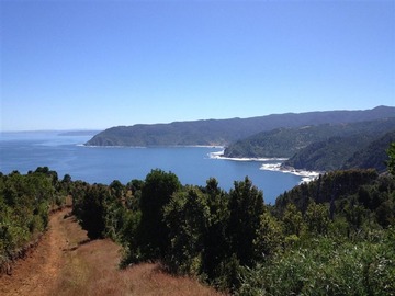 Venta / Sitio / Valdivia