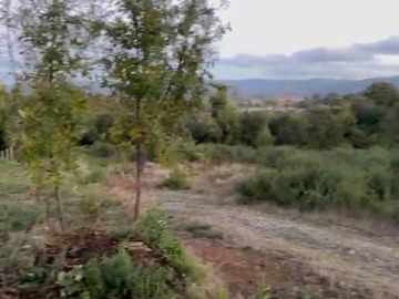 Imagen 6