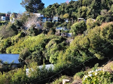 VISTA SECTOR
