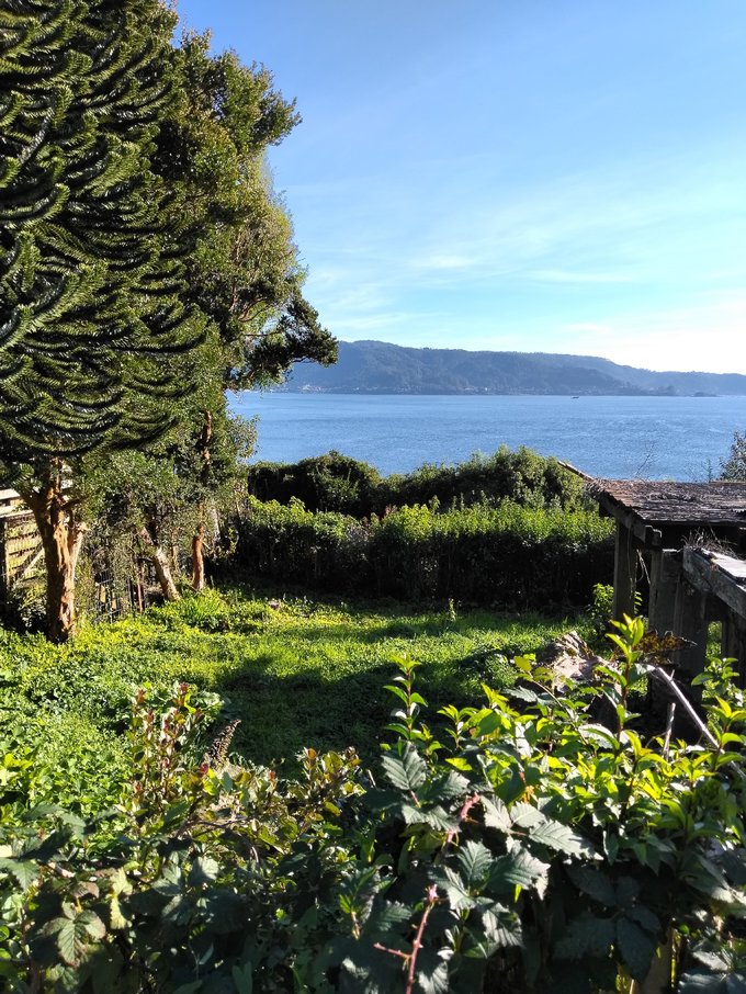 VISTA TERRENO